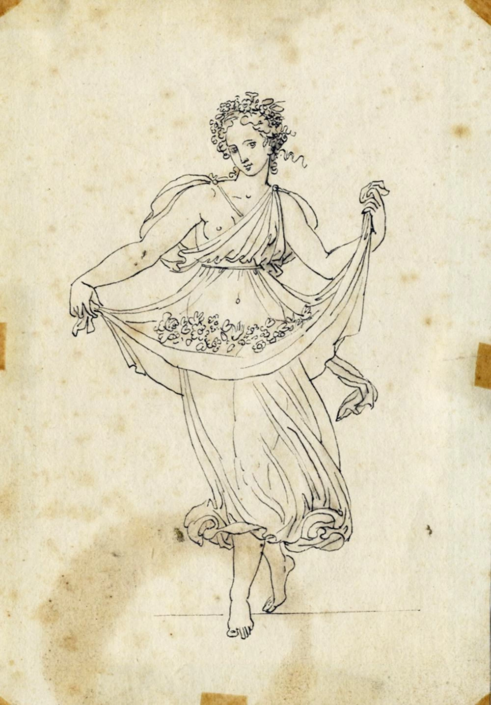 Flora